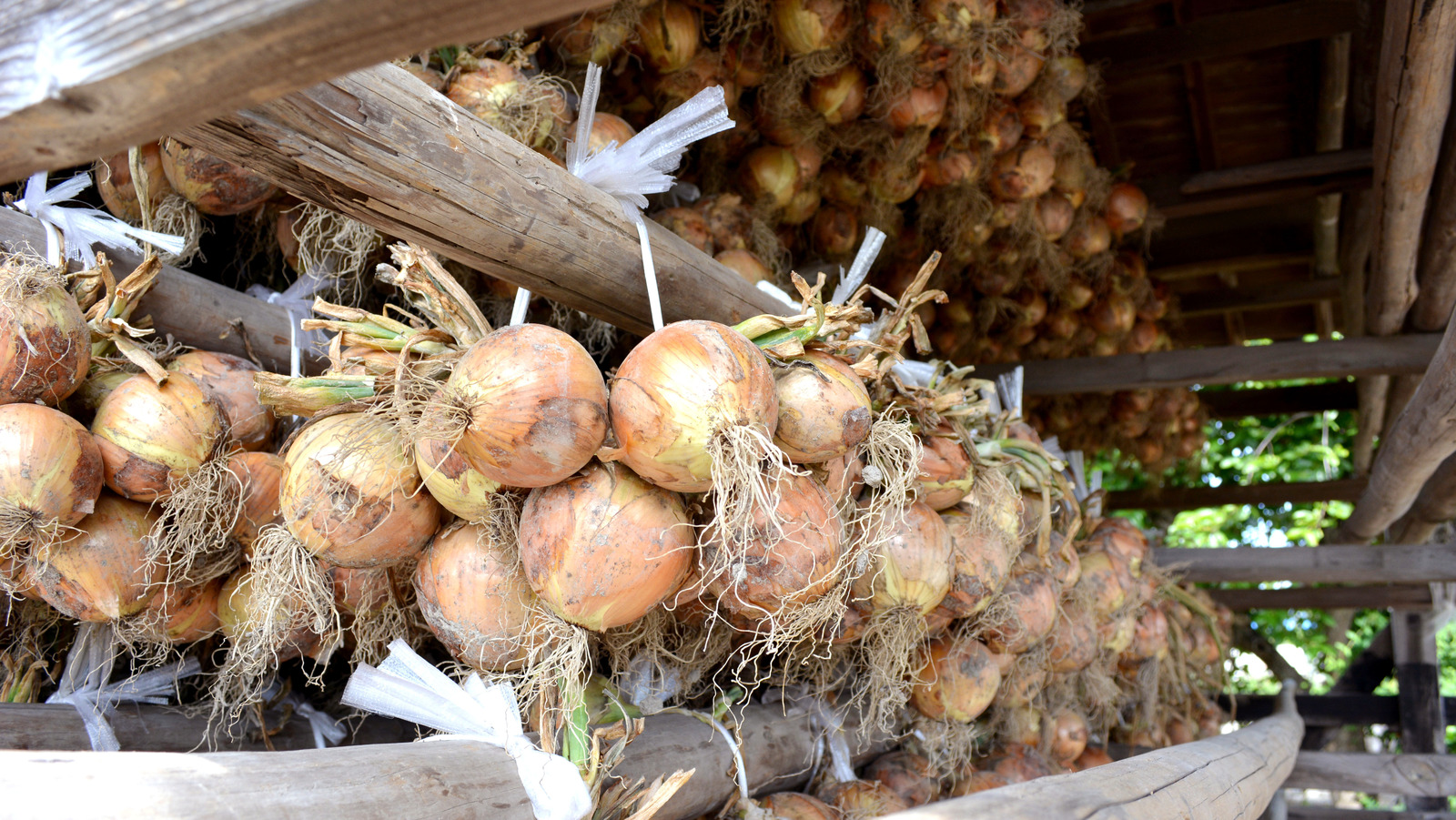 Japan's Awaji Island Is Famous For Its UltraSweet Onions