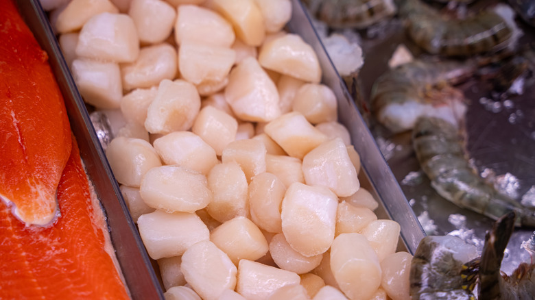 Bay scallops alongside other seafood at a market