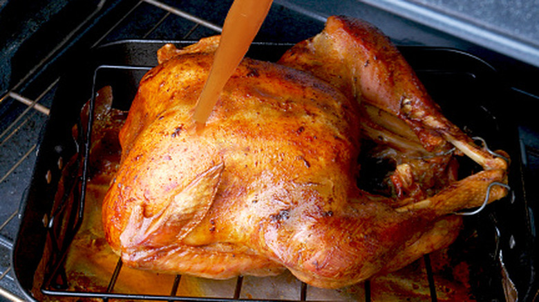 Someone basting a turkey that's been pulled out of the oven