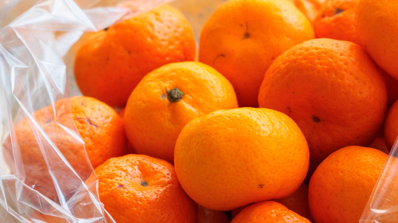 Bagged kishu mandarin oranges