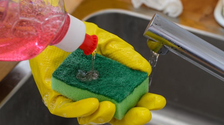 Dishwashing liquid on a sponge