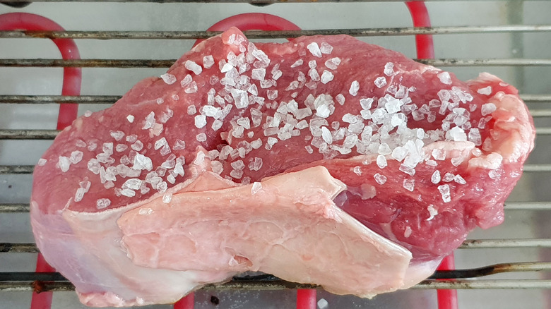 Kosher salt on raw meat