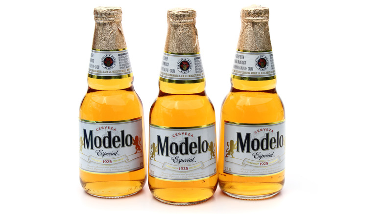 Three bottles of Modelo Especial in a line against a plain white background
