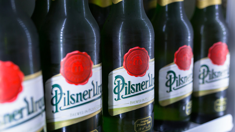 A close up of a row of Pilsner Urquell bottles on a shelf