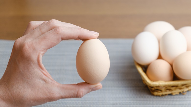 Person holding large egg