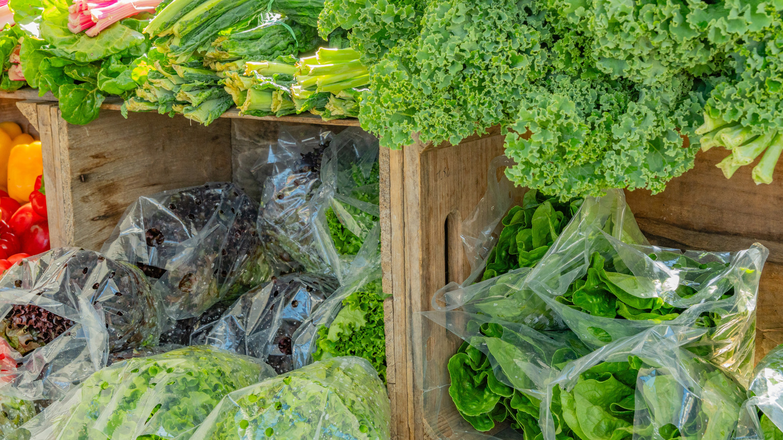 Buying Leafy Greens In Bulk? Here's How Long They Really Last - Tasting Table