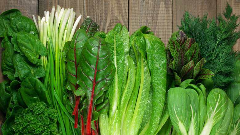 Various types of fresh leafy greens