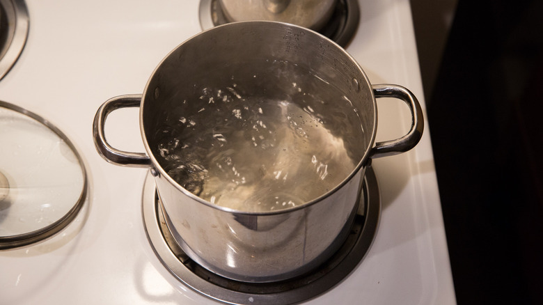 water boiling in medium pot