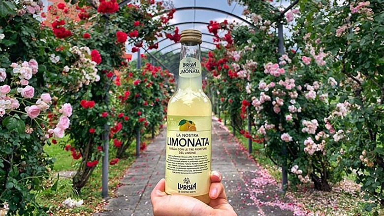 Bottle of Lurisia limonata in garden
