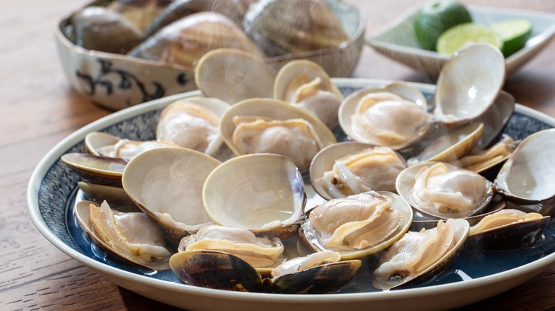 Plate of steamed clams