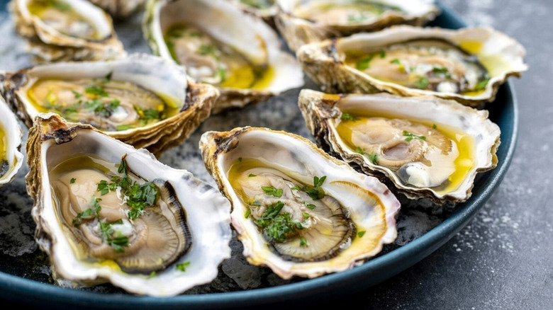 Fresh oysters served on a plate