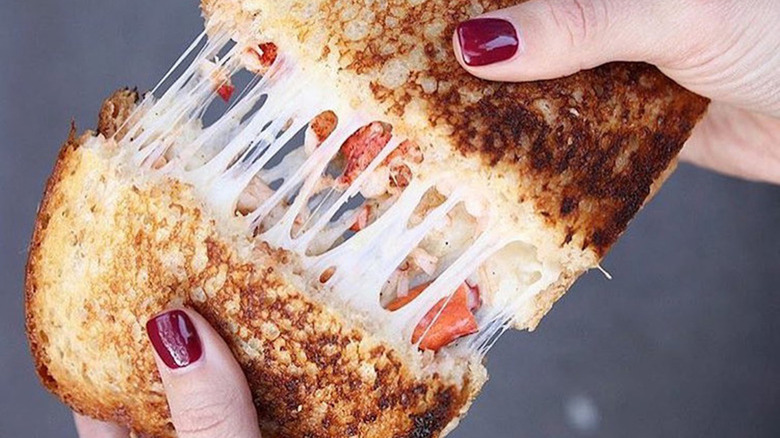 lobster grilled cheese pulled apart