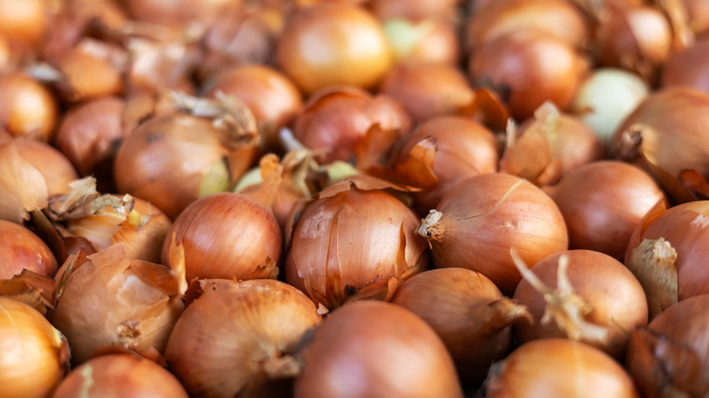 fresh raw onions recently harvested.