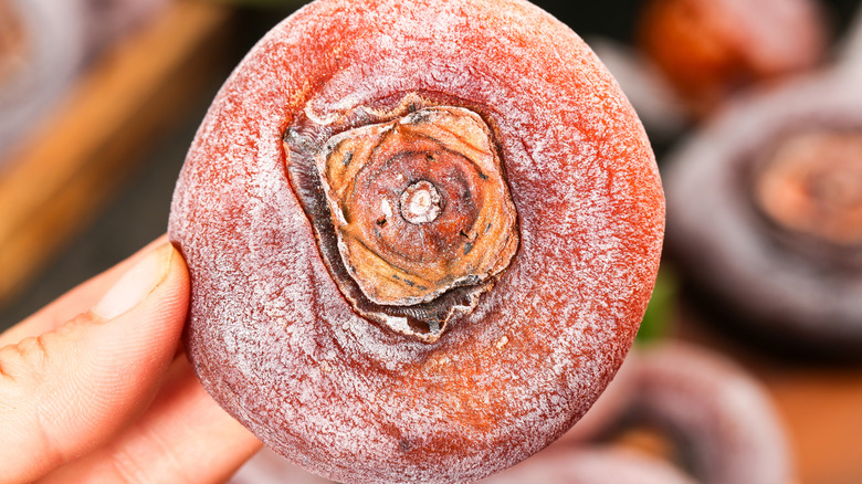 Hand holding Frosty handmade persimmon cake with powdered sugar coating