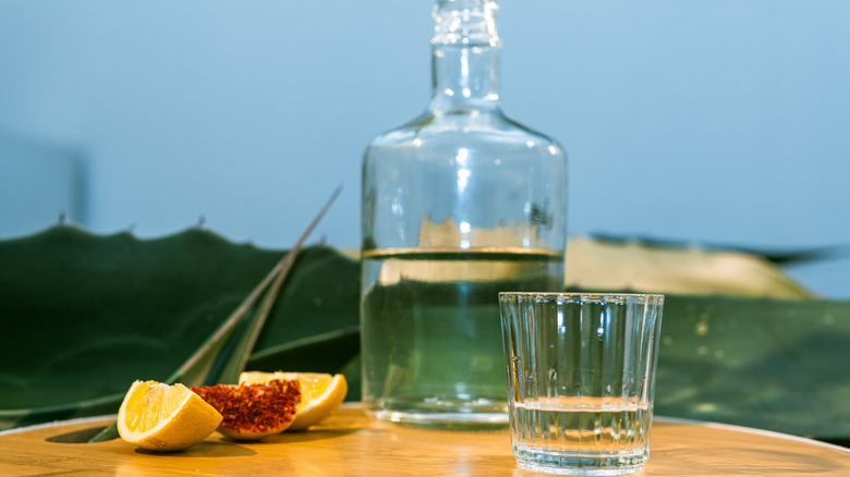 A bottle and a shot of mezcal