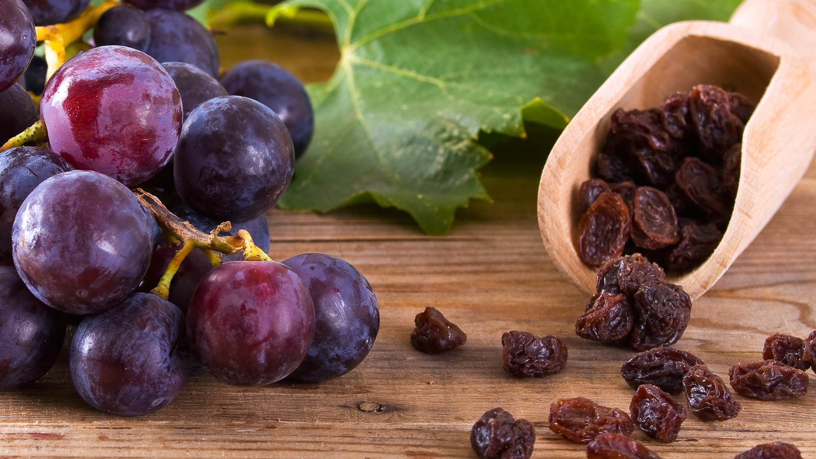 Make Delicious Raisins At Home With A Simple 3Step Process