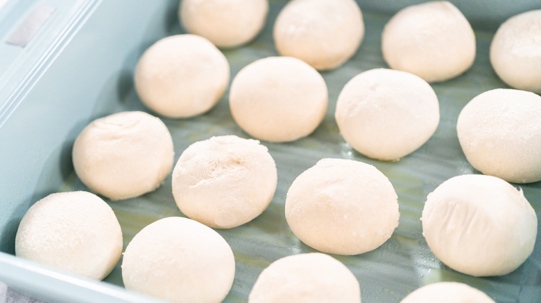 A tray of uncooked frozen dinner rolls.