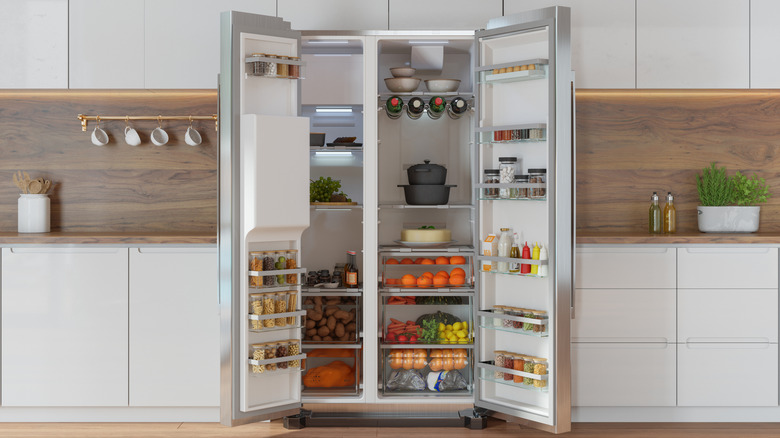 open and well-organized refrigerator