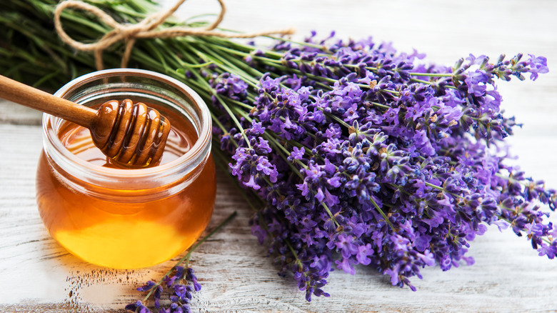 Lavender with jar of honey