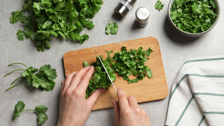 woman cutting cilantro on a cutting board