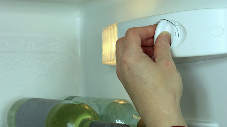 A hand adjusts the temperature dial in a refrigerator, in which bottles of white wine rest sideways