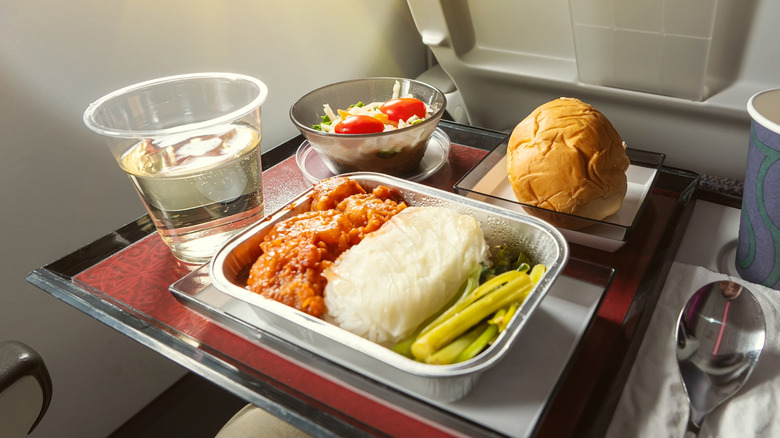 Airplane meal served on a seat-back tray