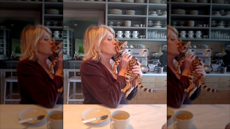 Martha Stewart kissing her cat while having tea in a grey kitchen