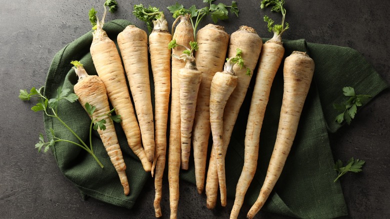 Fresh parsnips on a black background