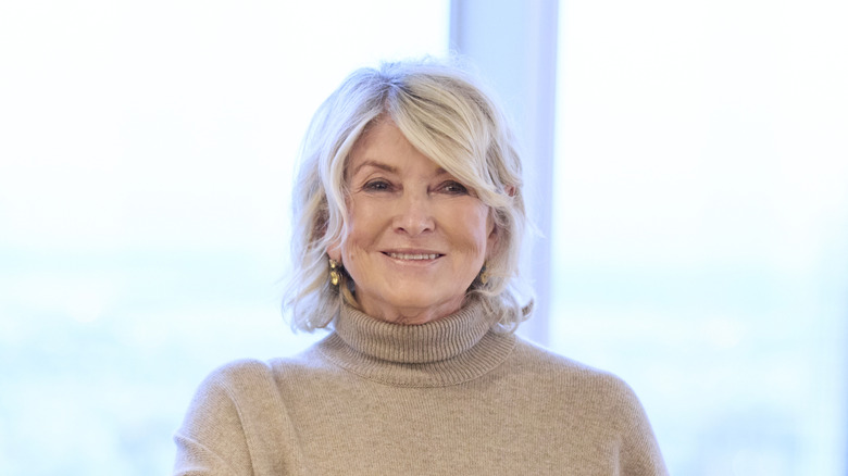 Smiling Martha Stewart in a beige turtleneck, in front of a window