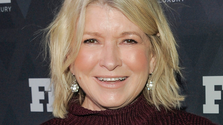 Close-up of Martha Stewart