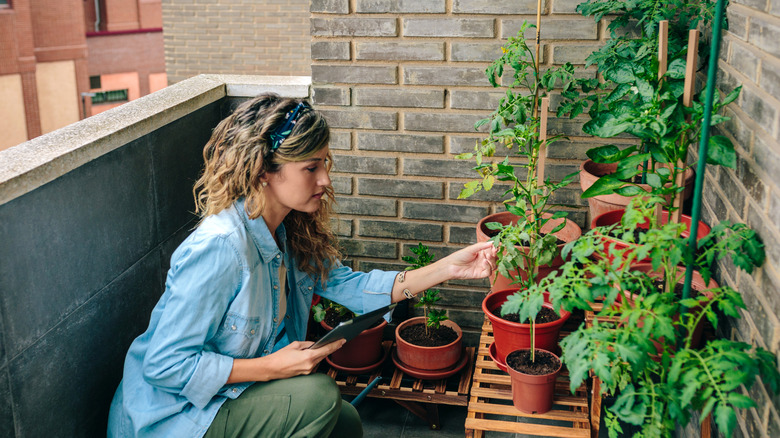 A woman tending a vegetable garden on her balcony