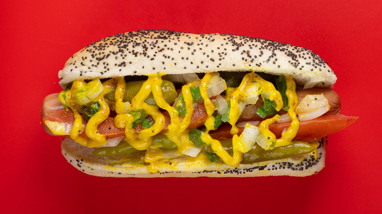 aerial photo of Chicago-style hot dog on red background