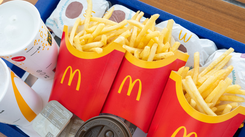 tray of McDonald's fries