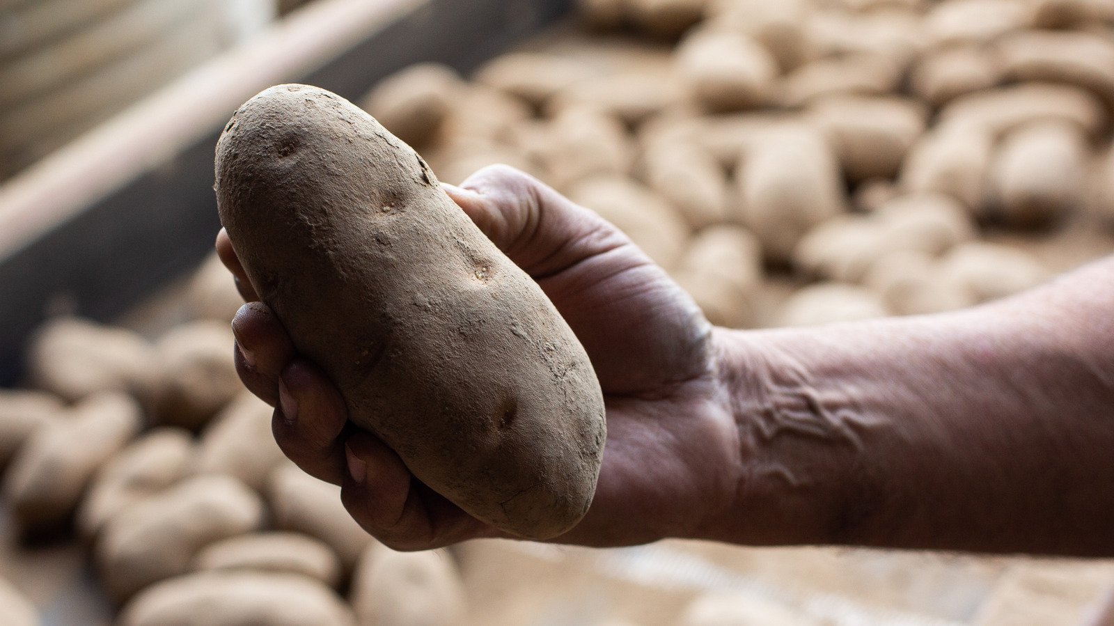 McDonald's And Burger King Use The Same Potatoes For Fries — But One Chain Still Dominates