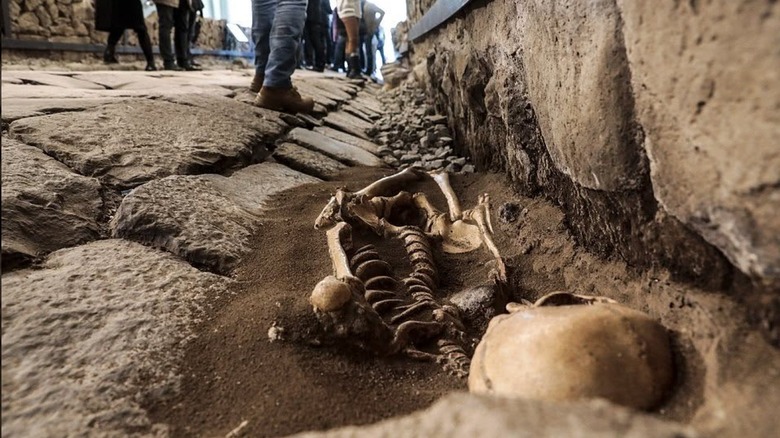 Visitors stand beside preserved skeletons under McDonald's Roma Appia