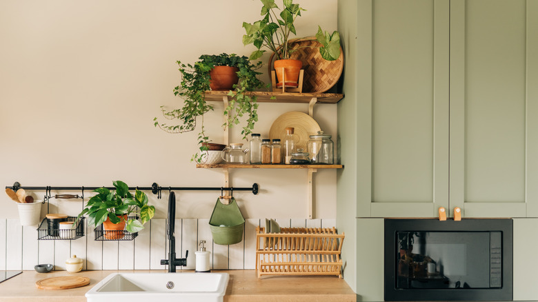 Kitchen interior with open shelves and greenery