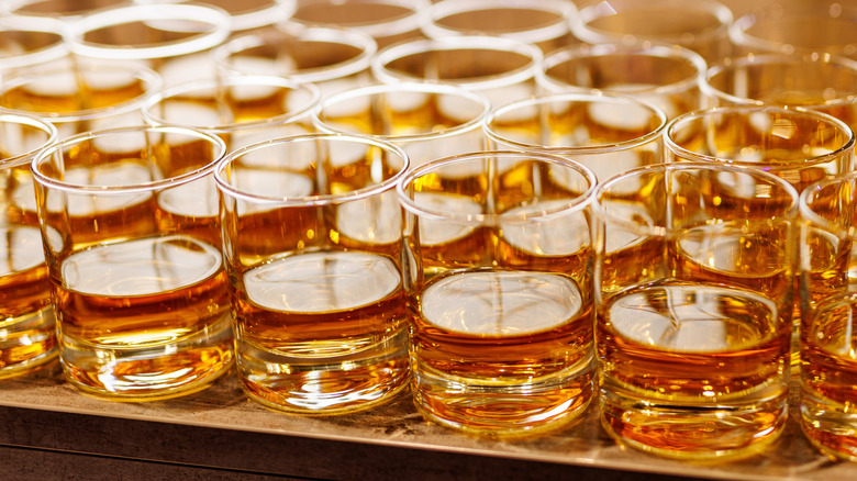 Rows of whiskey shots