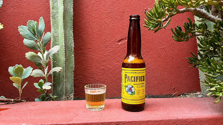 A bottle of Pacifico Clara sitting next to a filled glass of beer