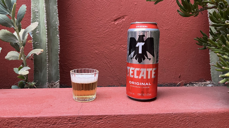 A can of Tecate sitting next to a filled glass of beer