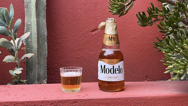 A bottle of Modelo Especial sitting next to a glass of it