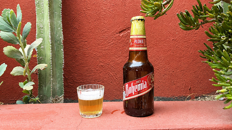 A bottle of Bohemia beer sitting next to a glass of it