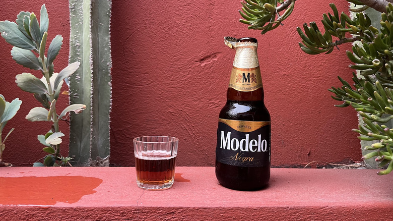 A bottle of Modelo Negra sitting next to a glass of it