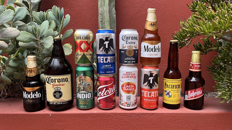 Mexican lagers arranged in front of plants