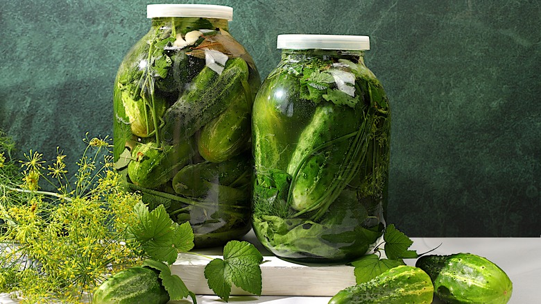 Two jars of pickles on a counter, beside it herbs and cucumbers