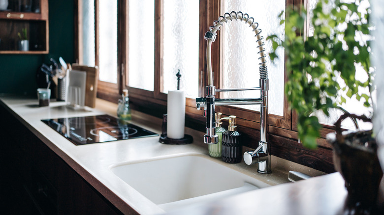 Sink with stovetop and greenery