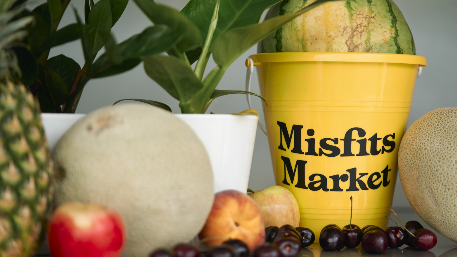 Misfits Market's New Features Will Fill Your Cart For You