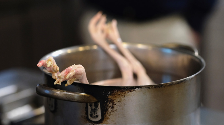 Chicken feet in a pot