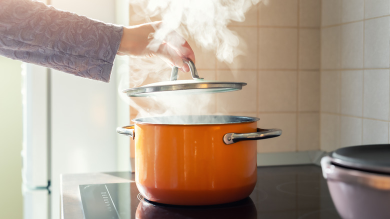 Mistakes Everyone Makes When Steaming Food