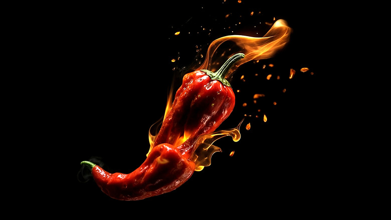 chilie peppers and flames on black background