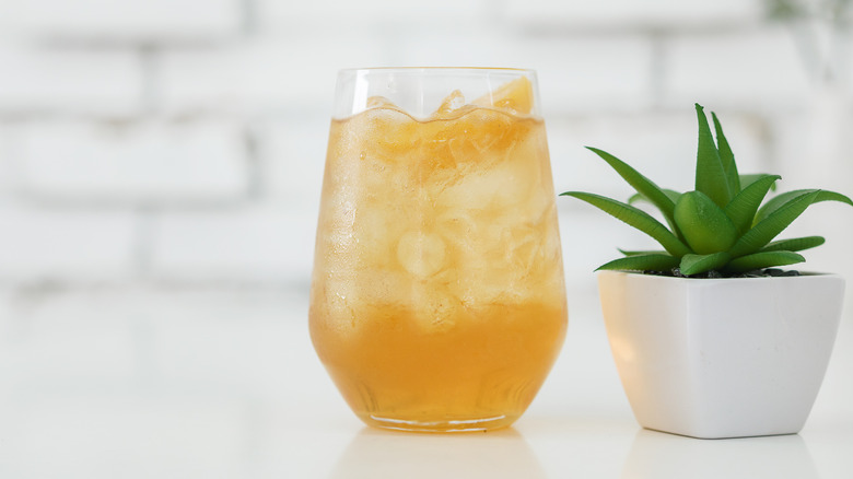 An apple cider tequila cocktail sitting next to a small potted succulent plant against a white background
